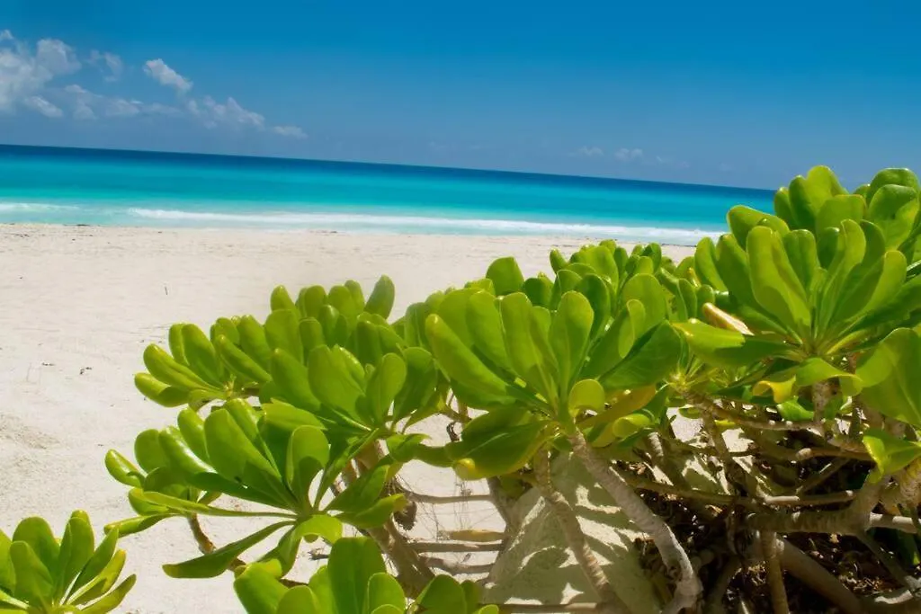 Apartment Ocean Front Villa Marlin, Best Location In Hotel Zone #109 Cancun