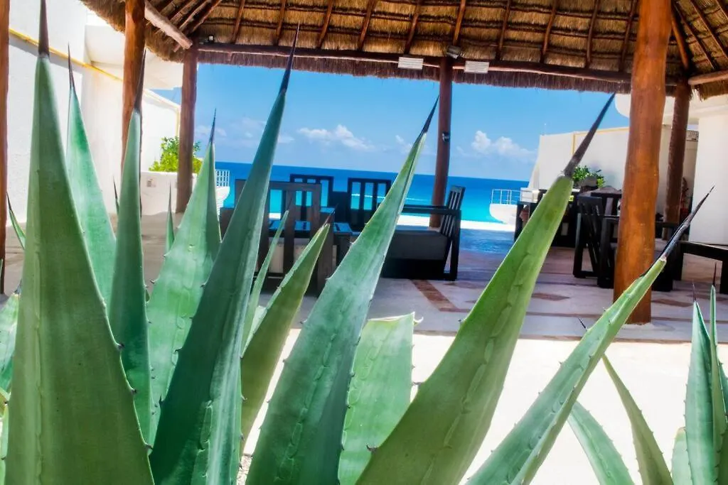 Daire Ocean Front Villa Marlin, Best Location In Hotel Zone #109 Cancun Meksika